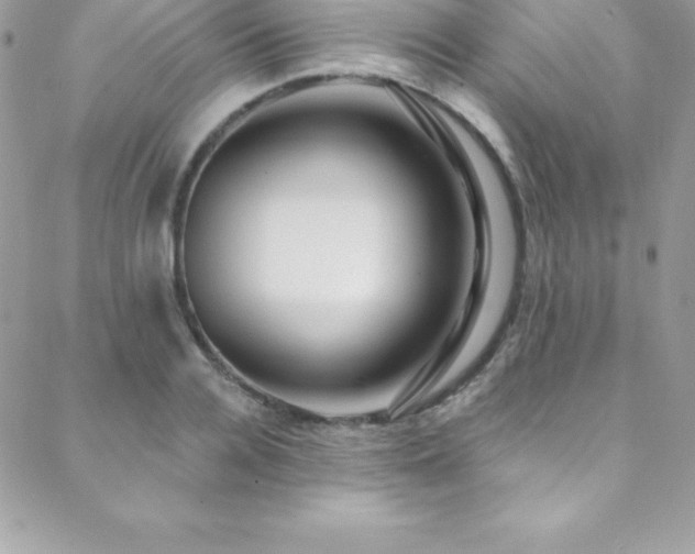 X0000088840936200706071416