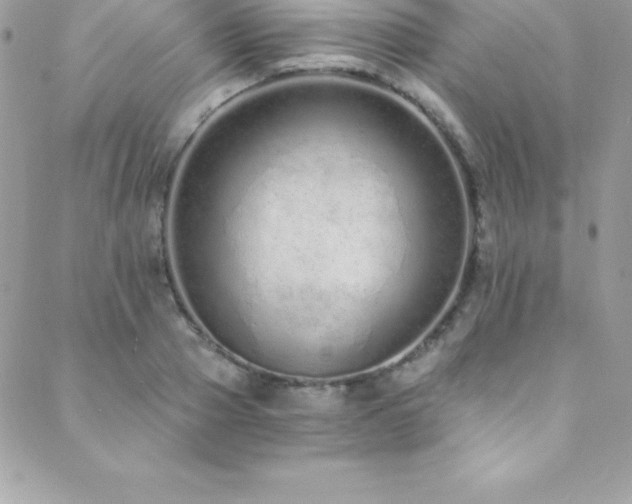 X0000088840937200706071416