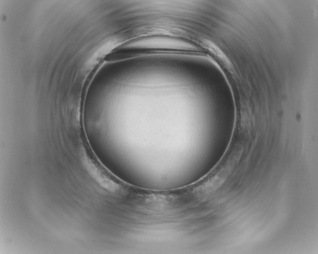 X0000088840938200706071416