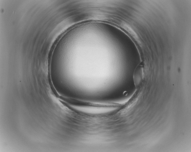 X0000088840939200706071416