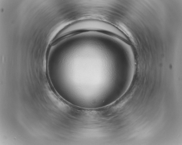 X0000088840940200706071416