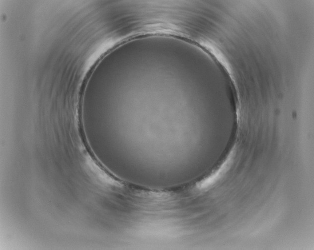 X0000088840941200706071416