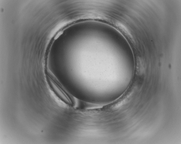 X0000088840942200706071416