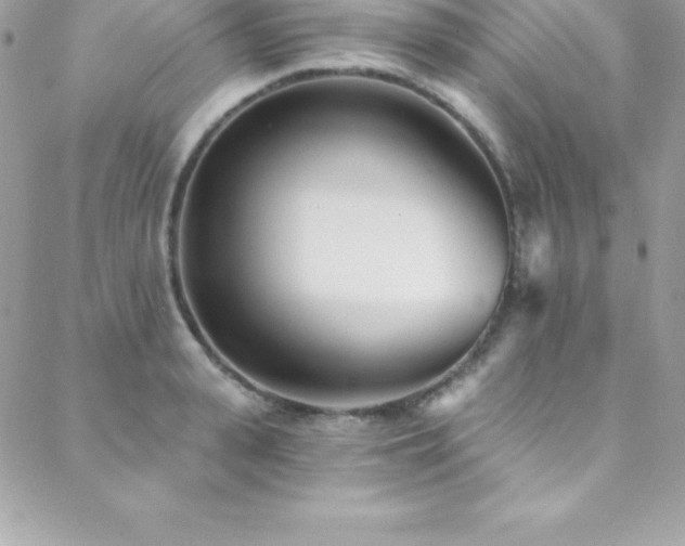 X0000088840943200706071416