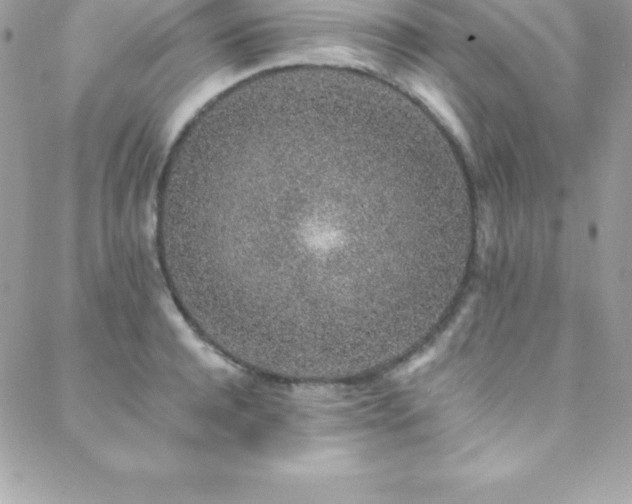 X0000088840944200706071416