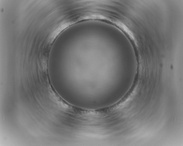 X0000088840945200706071416