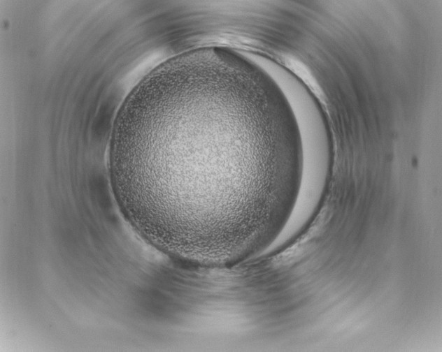 X0000088840946200706071417