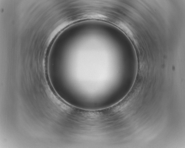 X0000088840947200706071417