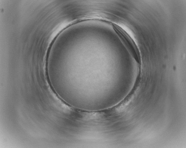 X0000088840949200706071417