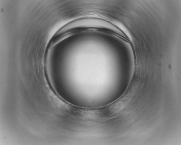 X0000088840951200706071417