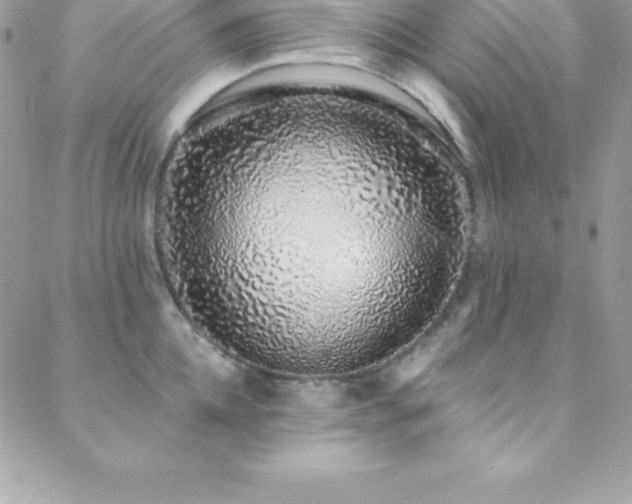 X0000088840952200706071417