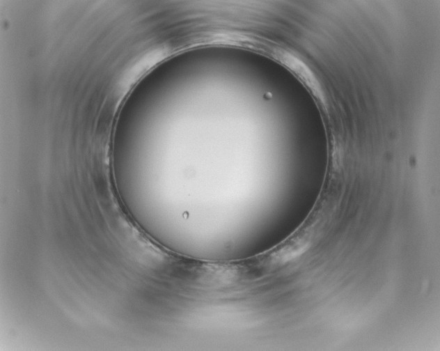 X0000088840954200706071417