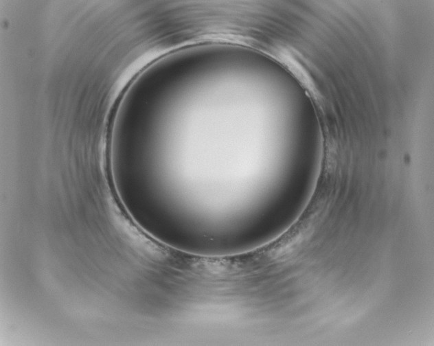 X0000088840955200706071417