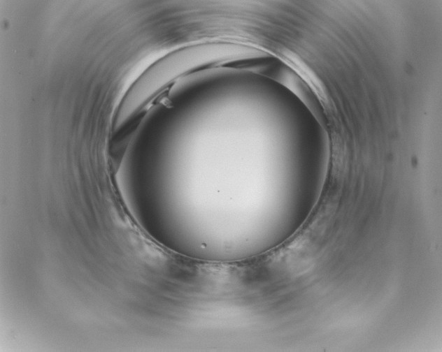 X0000088840956200706071417