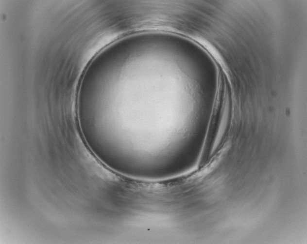 X0000088840957200706071417