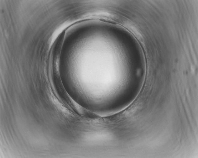 X0000088840960200706071417