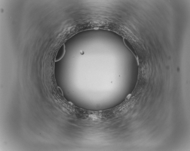 X0000088840961200706071416