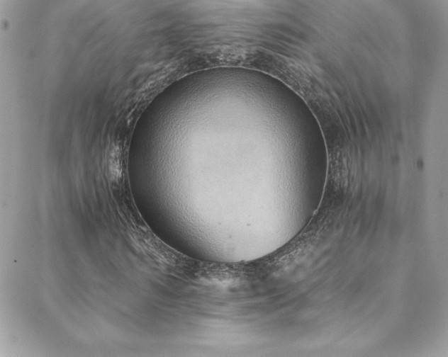 X0000088840962200706071416