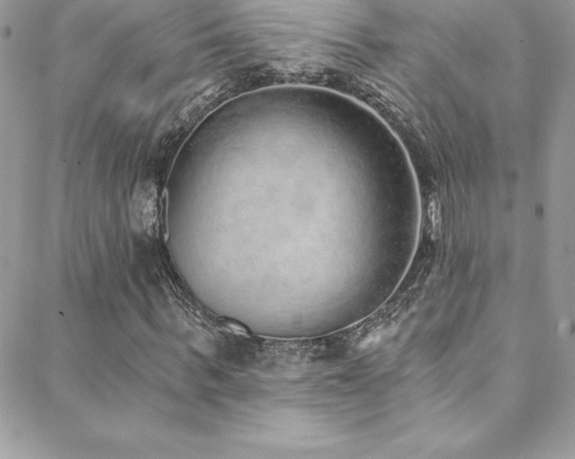 X0000088840963200706071416