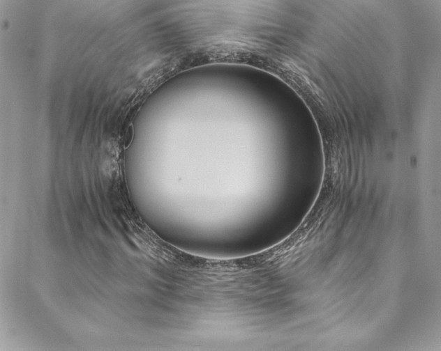 X0000088840964200706071416