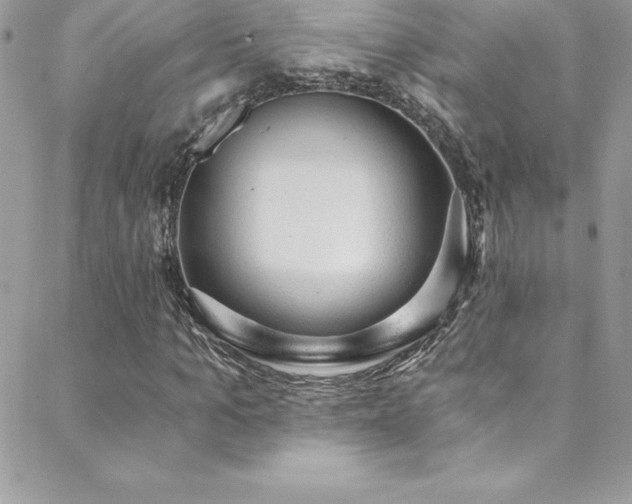 X0000088840965200706071416