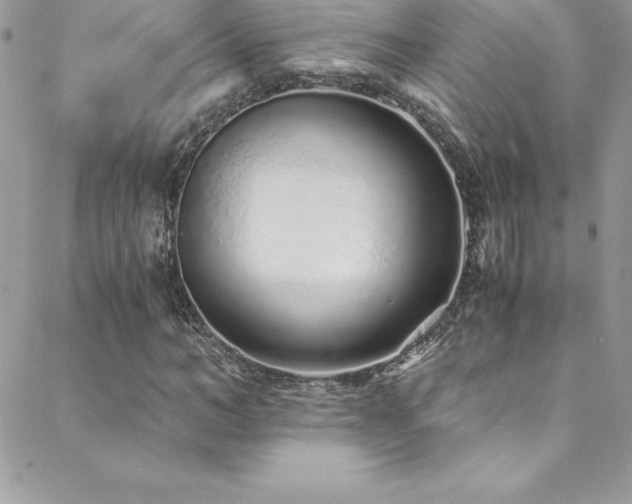 X0000088840966200706071416