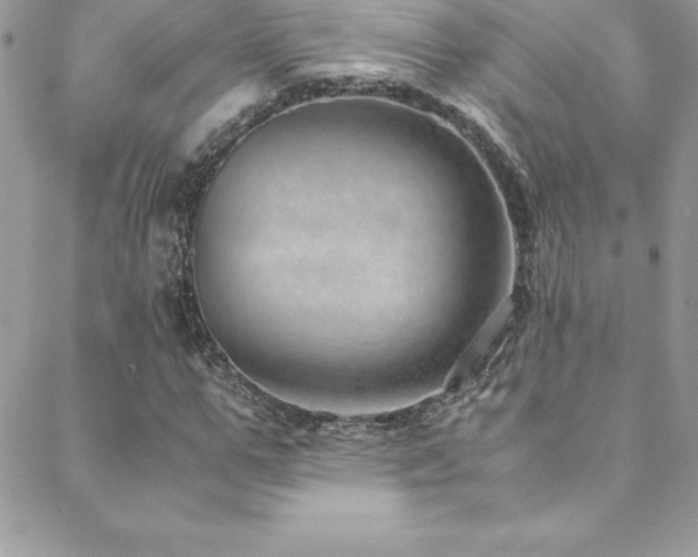 X0000088840967200706071416