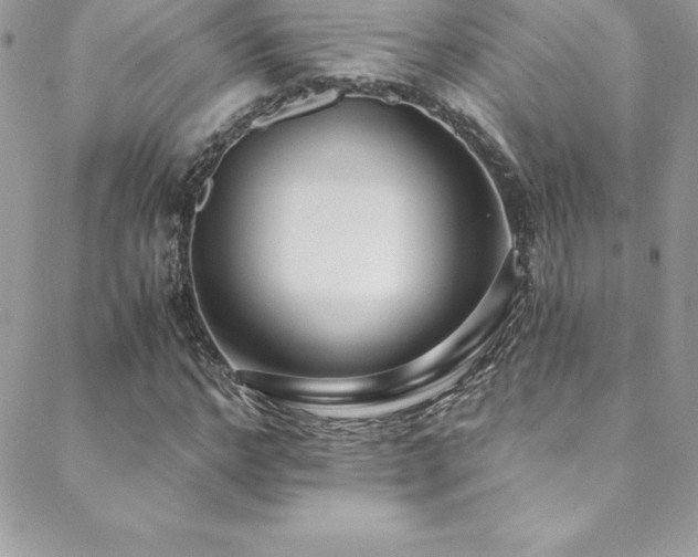 X0000088840968200706071416