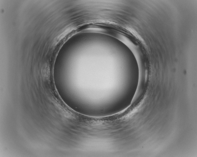 X0000088840969200706071416