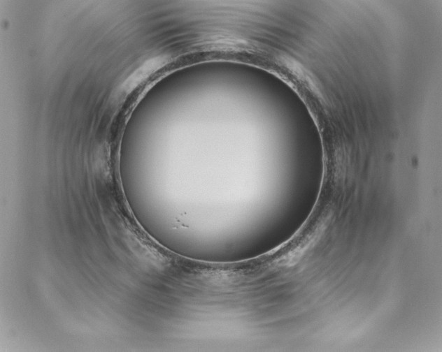 X0000088840970200706071416