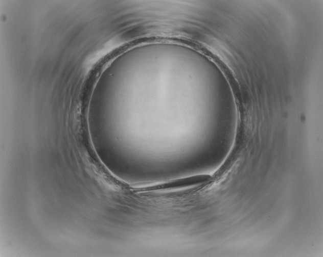 X0000088840971200706071416