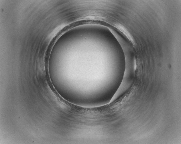 X0000088840972200706071416