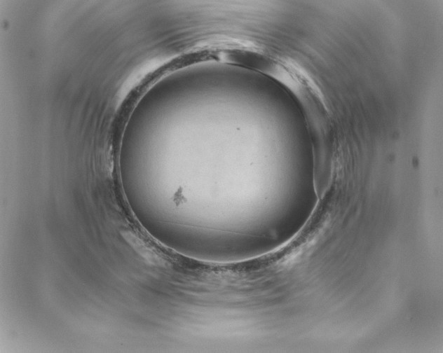 X0000088840973200706071416