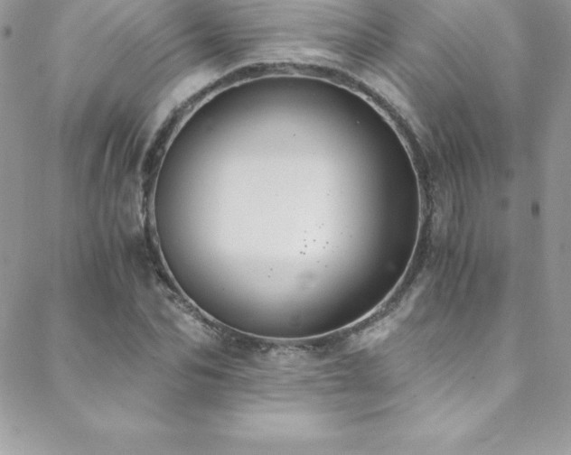 X0000088840974200706071416