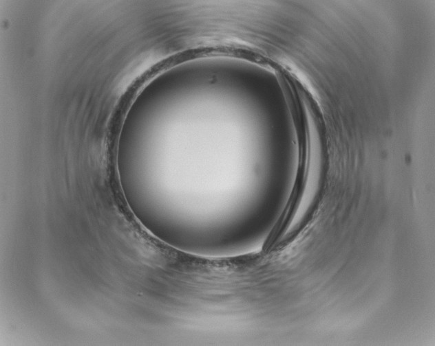 X0000088840975200706071416