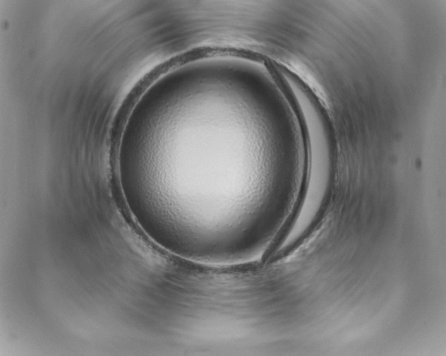 X0000088840976200706071416