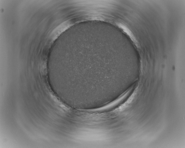 X0000088840977200706071416