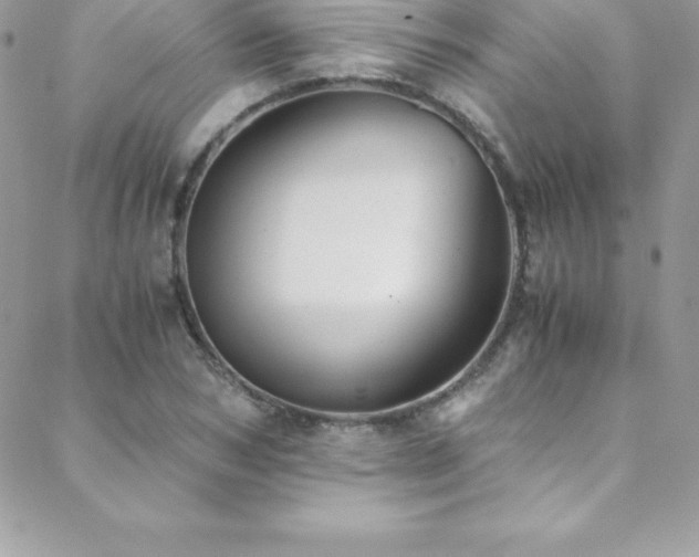 X0000088840978200706071416