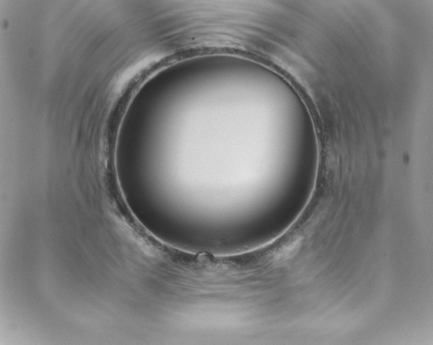 X0000088840979200706071416