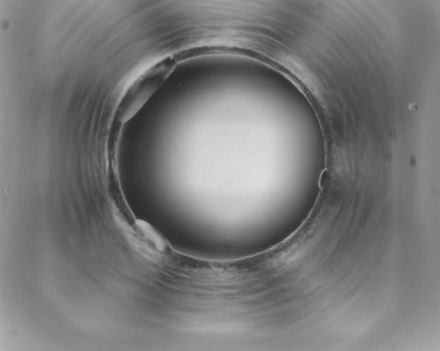 X0000088840980200706071416