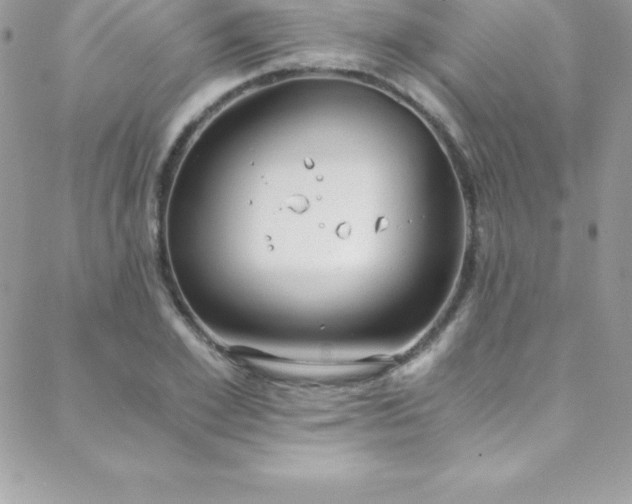 X0000088840981200706071416