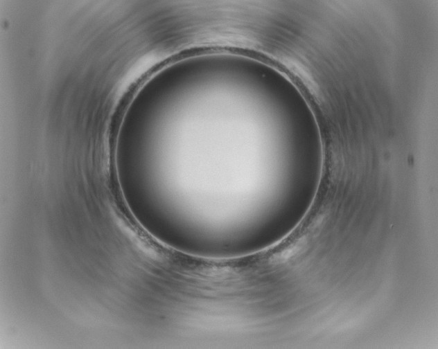 X0000088840982200706071416