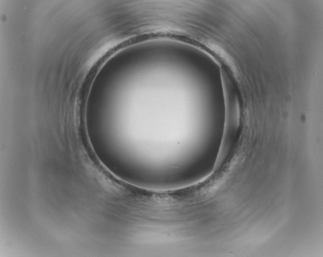 X0000088840983200706071416