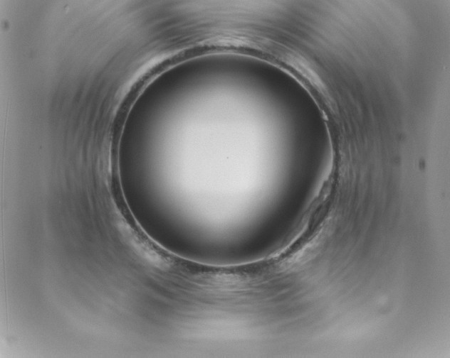 X0000088840984200706071416