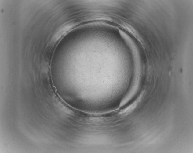 X0000088840985200706071416