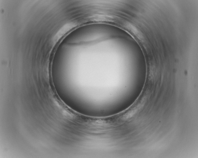 X0000088840986200706071416