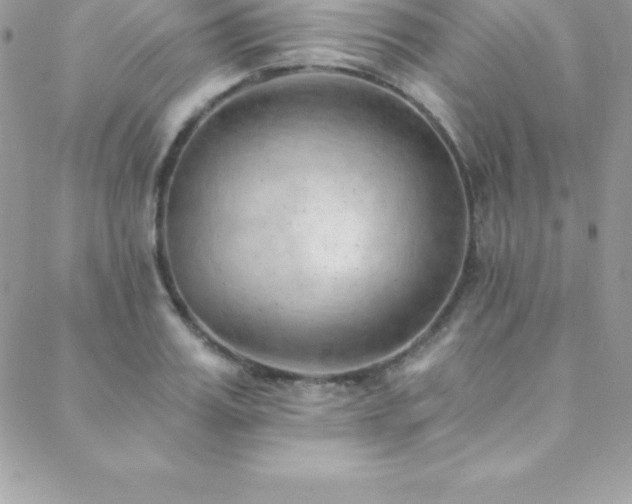 X0000088840987200706071416