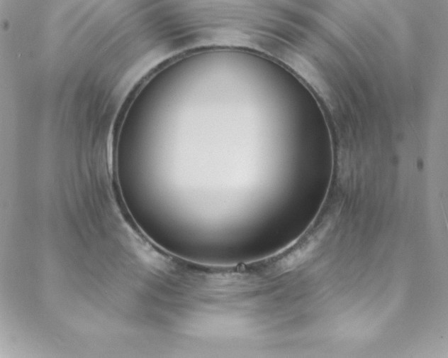 X0000088840988200706071416