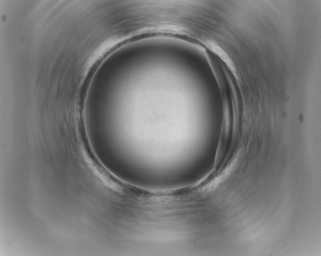 X0000088840989200706071415