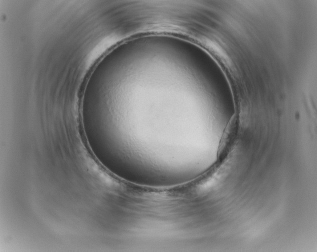 X0000088840990200706071415